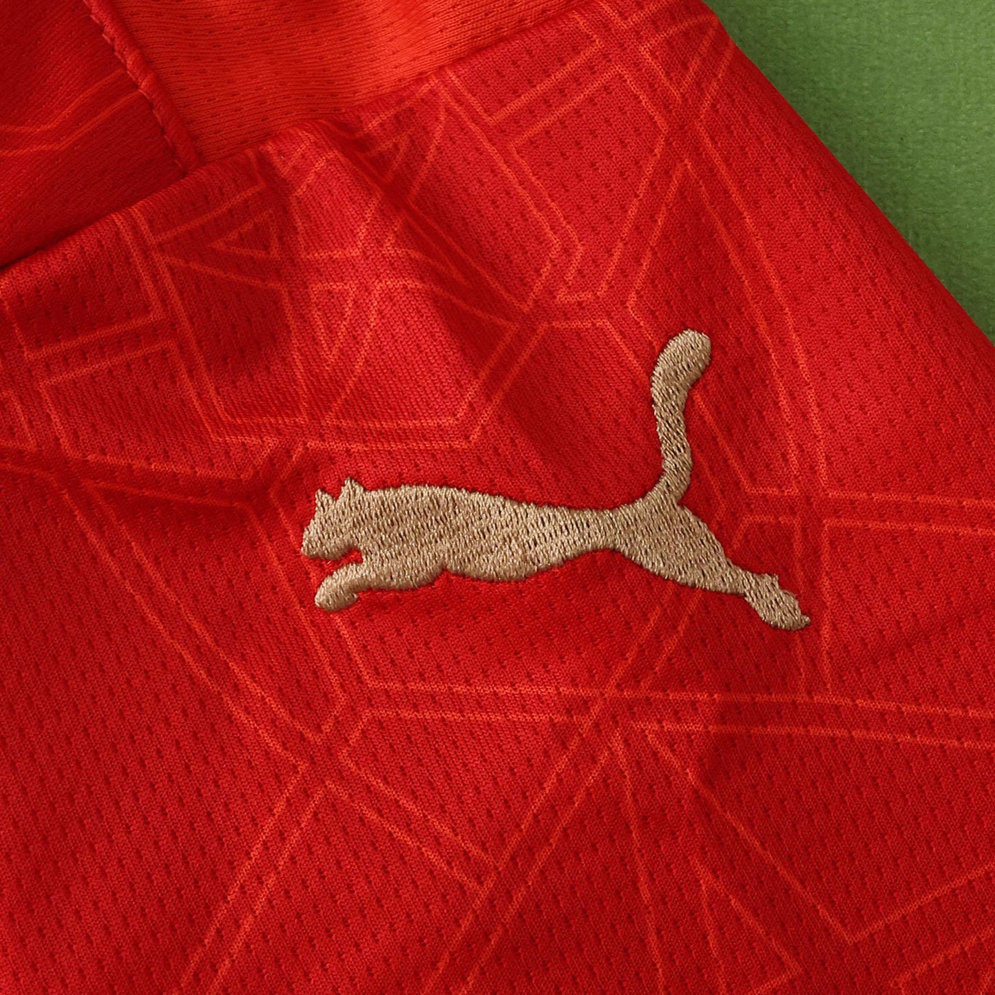 Maillot Domicile Maroc Coupe du Monde FIFA 2026