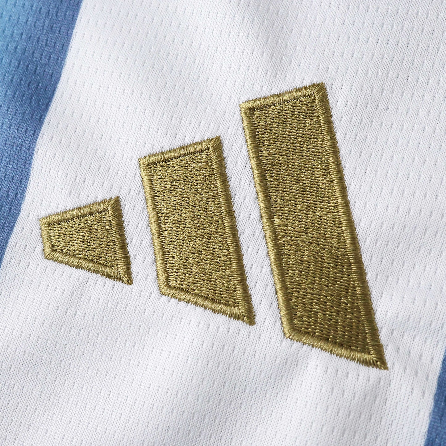 2026 FIFA World Cup Argentina Home Jersey