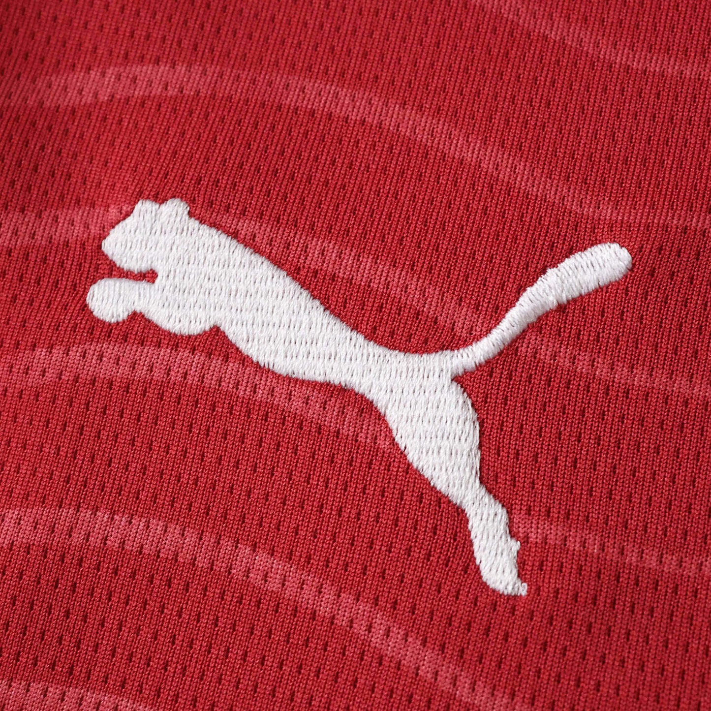 2026 FIFA World Cup Portugal Home Jersey