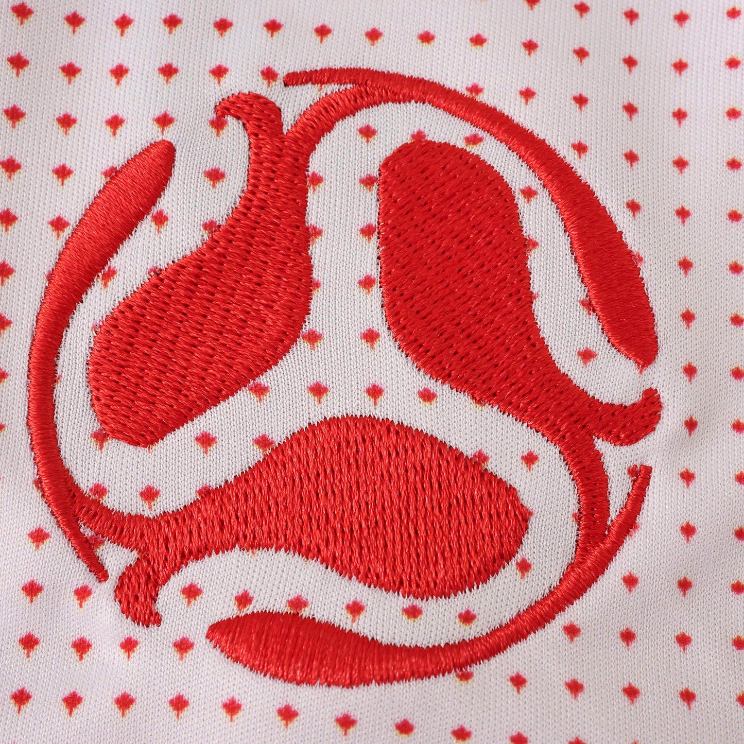 2026 FIFA World Cup Canada Promoter Jersey