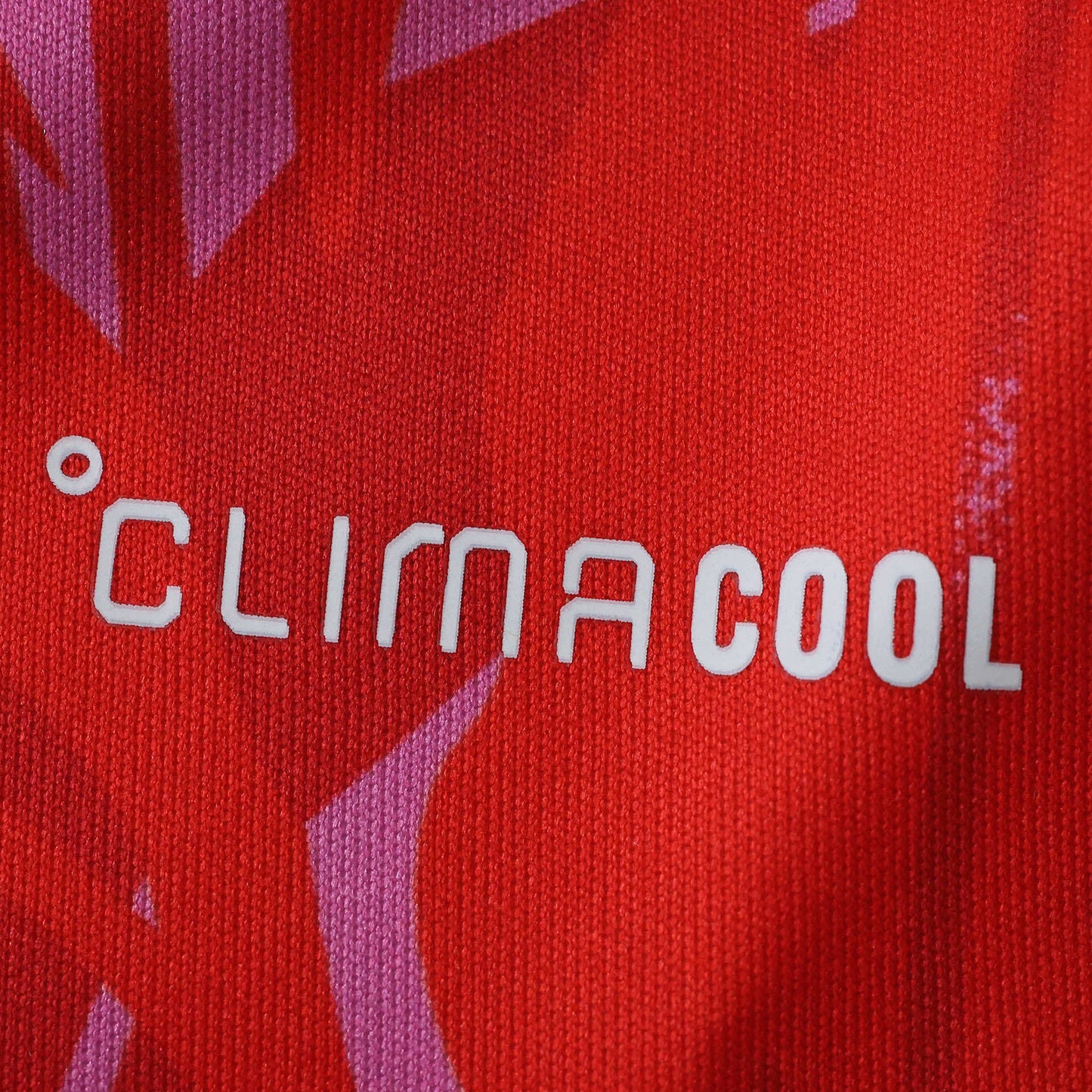 2026 FIFA World Cup Costa Rica hjemmetrøye